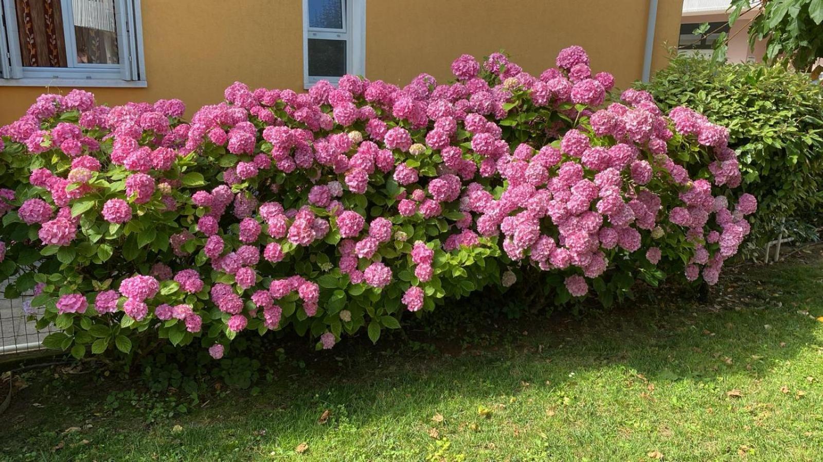 Residenza Viel